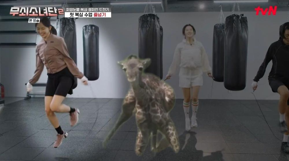 무쇠소녀단