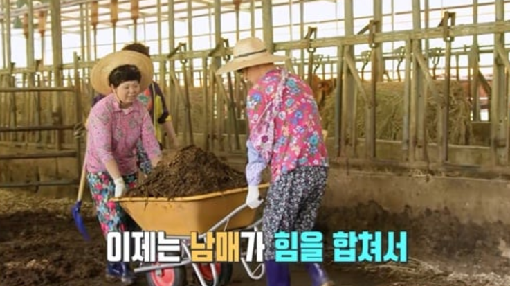 살림남2