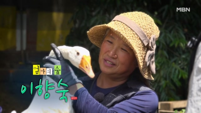 나는 자연인이