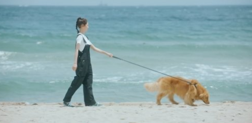 여행을 대신해 드립니다
