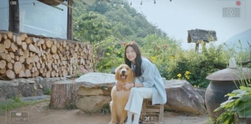 여행을 대신해 드립니다
