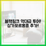 블랙핑크 싱가포르·홍콩 추가! 놀라운 아시아 투어 20회