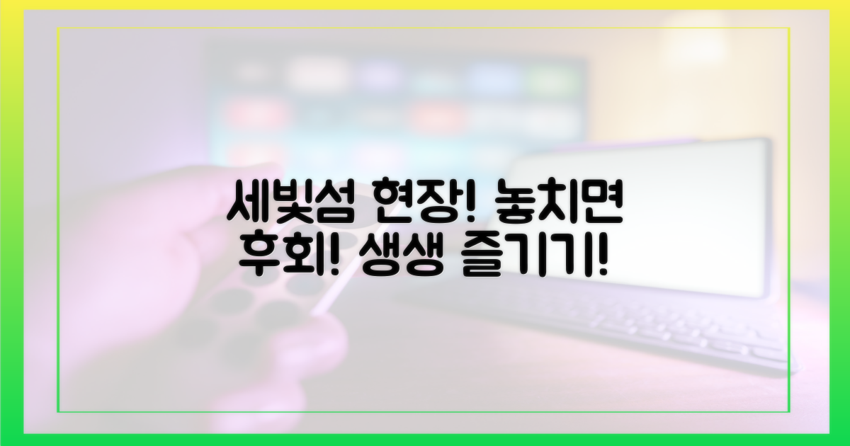 세빛섬 현장, 생생하게 즐기세요!