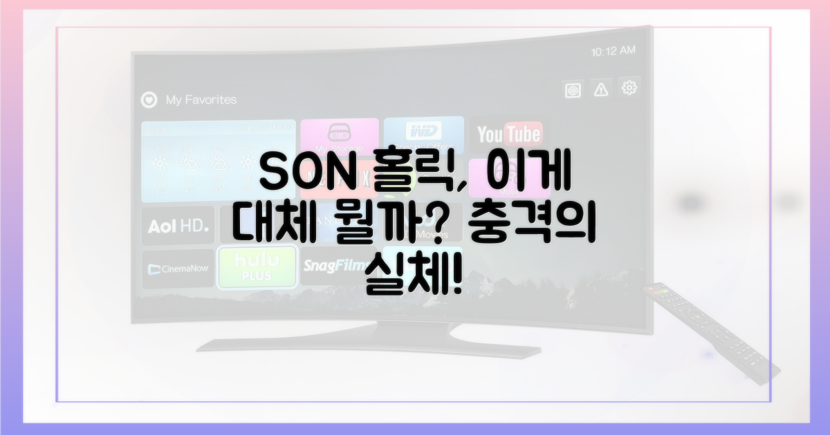SON 홀릭' 대체 무엇인가?