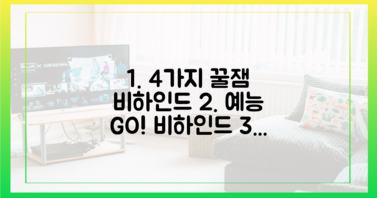 4가지 예능 비하인드