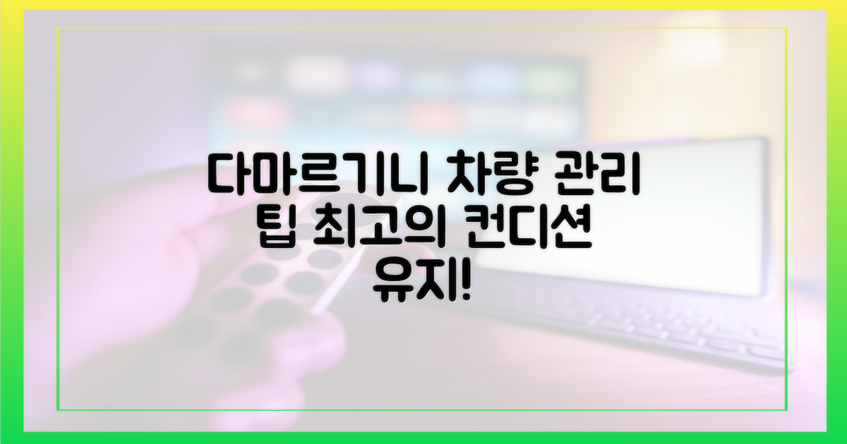 다마르기니 차량 관리 팁