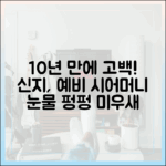 신지 10년 만에 예비시어머니 고백! (미우새