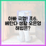 아빠 극혐 초6, 베란다 생활! 오은영 해법은?