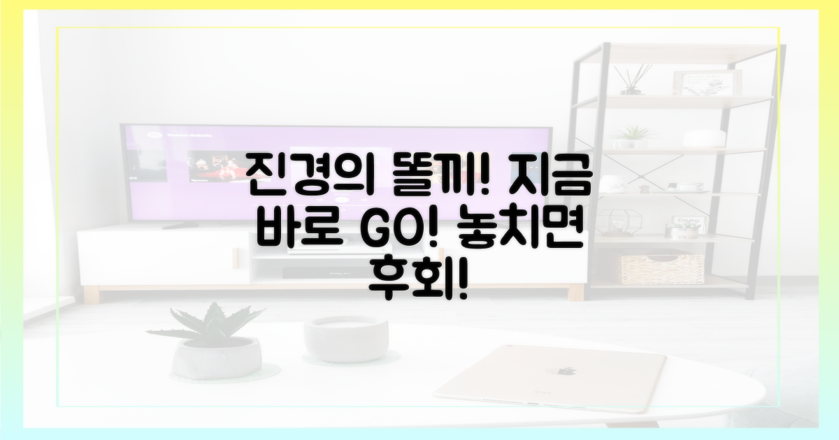 진경의 똘끼, 지금 경험하세요!