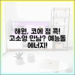 해원, 고소영 만난다고 코에 점 '콕'…예능돌 에너지?</30자