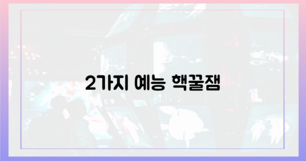 2가지 예능 활약