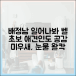 초보 애견인도 공감! 배정남 '일어나봐' 벨에 눈물 (미우새
