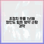 조정치 무릎 1년 못 써…정인도 힘든 병약 근황 '경악