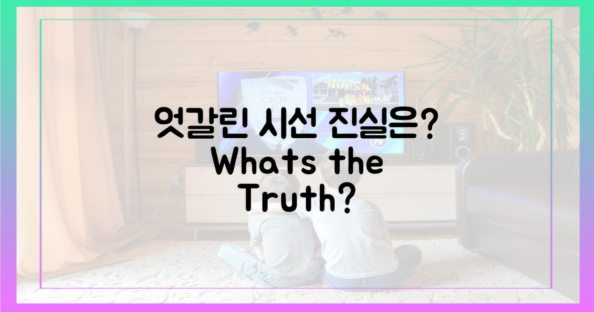 엇갈린 시선, 진실은 무엇인가