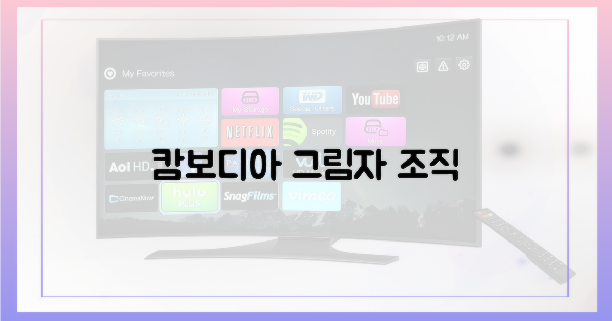 캄보디아 조직의 그림자