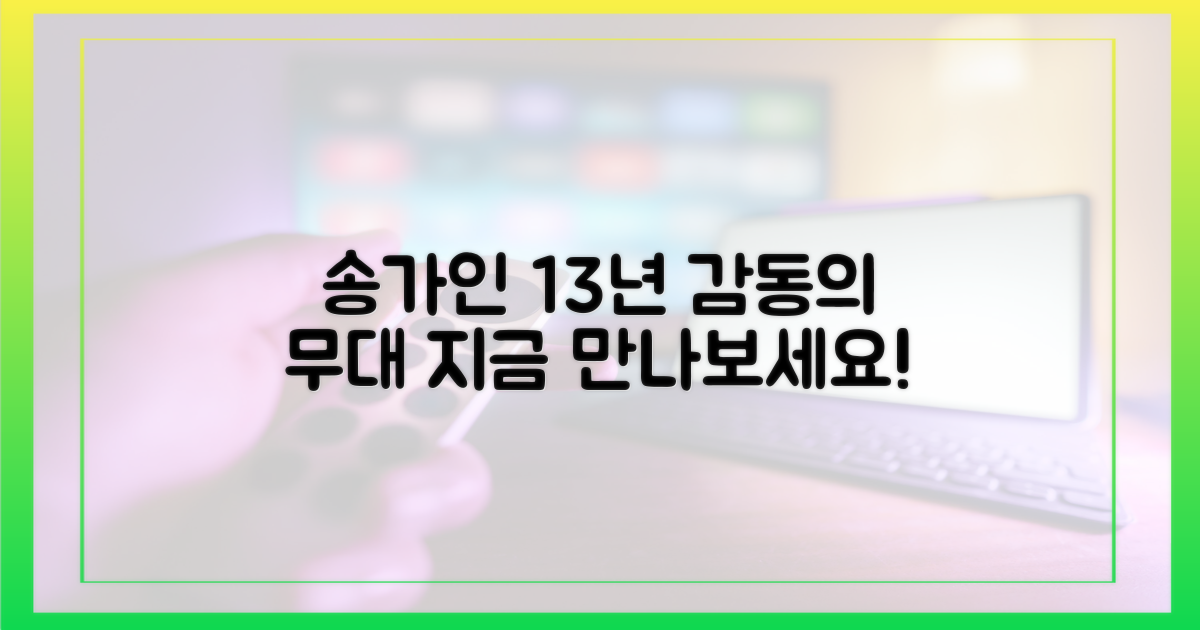 송가인, 13년의 감동을 느껴보세요!
