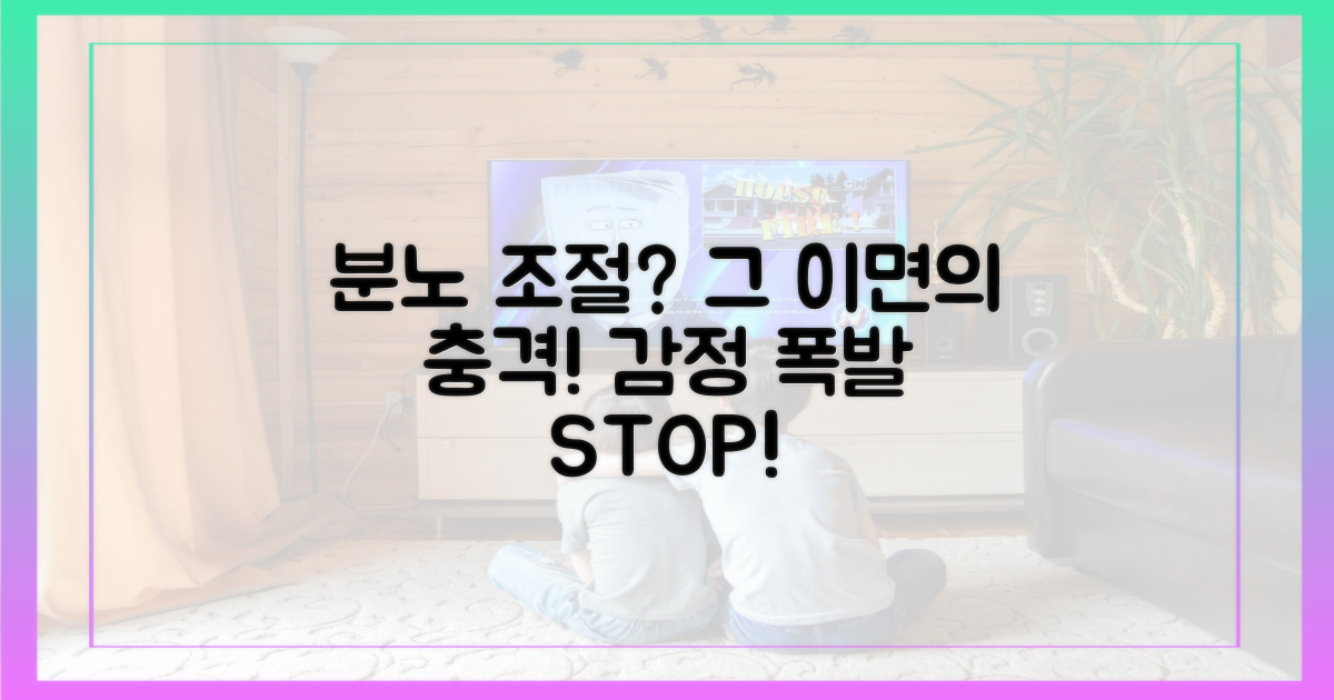 분노 조절, 그 이면