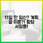 11일 만 임신? 계획 끝이 이혼? 황당 서장훈!