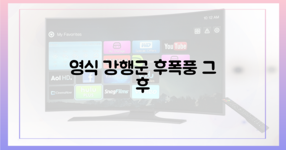 영식 강행군, 그 전과 후