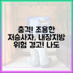 조용한 저승사자, 내장지방 충격 위험!