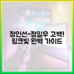 예능] 정인선-정일우 고백, 핑크빛 전개 완벽 가이드