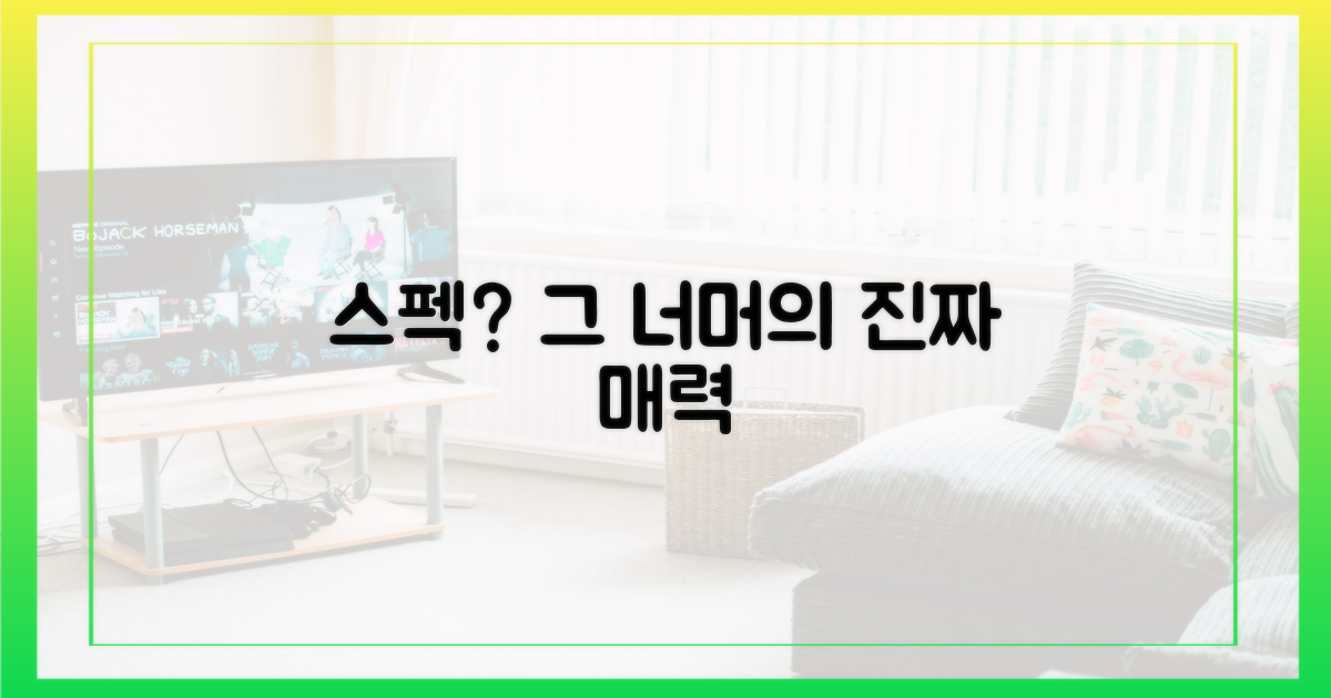 스펙 너머의 매력