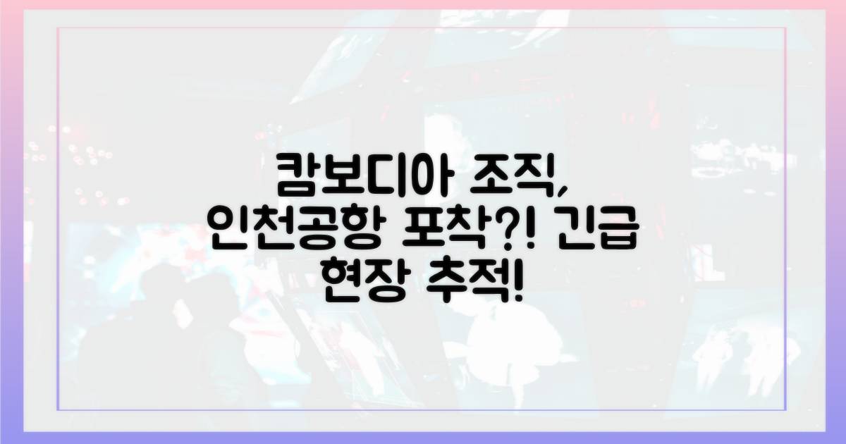 캄보디아 조직, 인천공항까지?