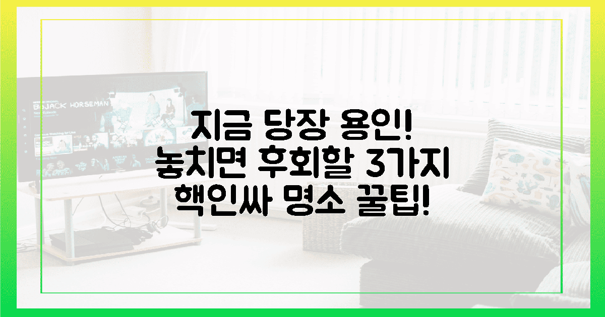 지금 당장 용인으로 떠나야 하는 이유 3가지!