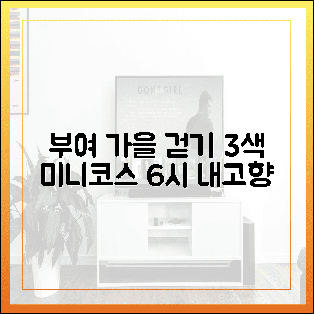 부여 6시 내고향: 가을 들녘 걷는 3색 미니코스